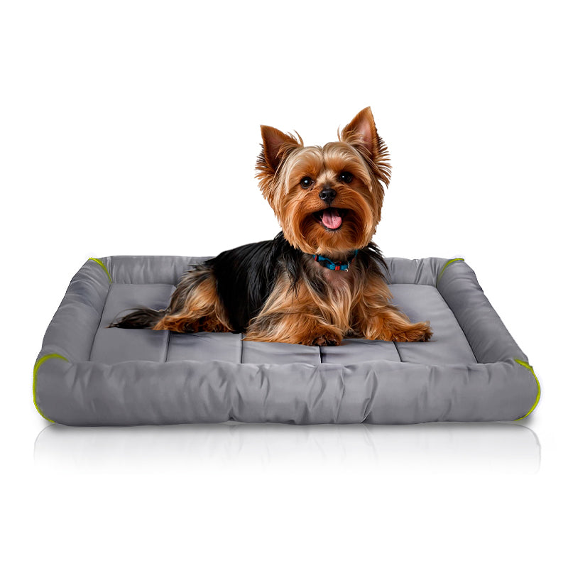 Waterproof dog crate mats new arrivals