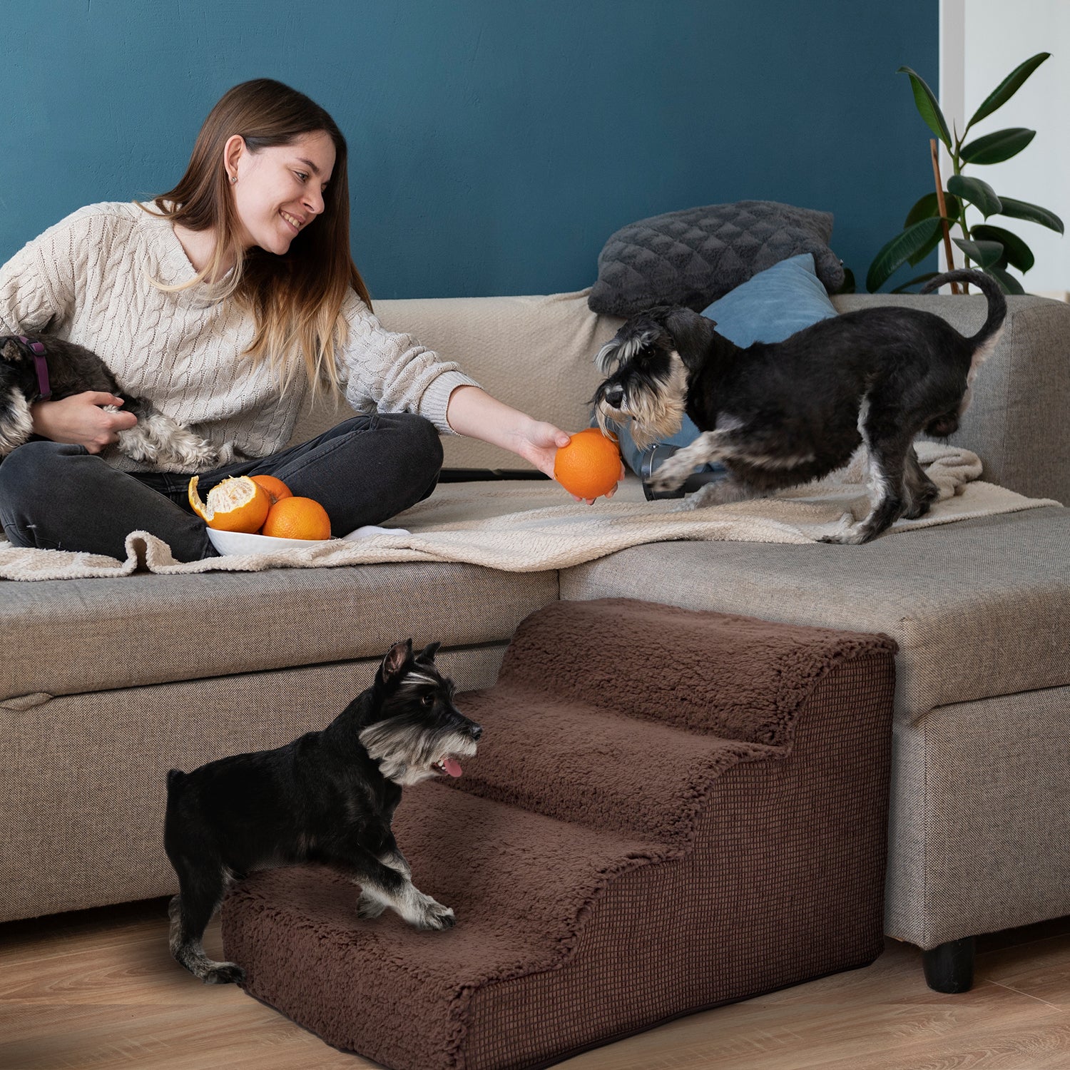 Scalloped pet stairs cheap