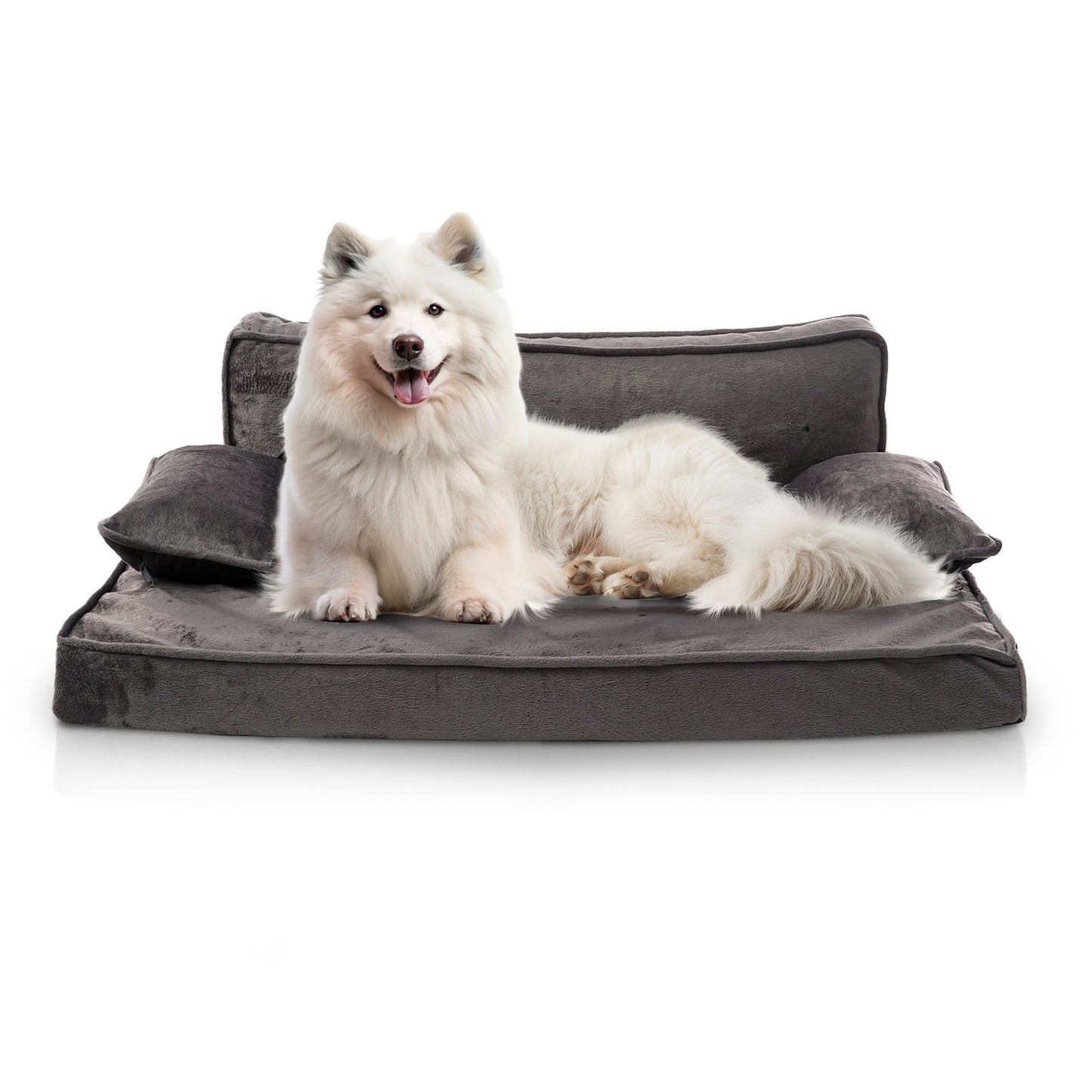 Precious Tails Orthopedic Pet Bed - Stylish Beds for Cats and Dogs,  Modern Sofa Couch for Small-Medium Dog