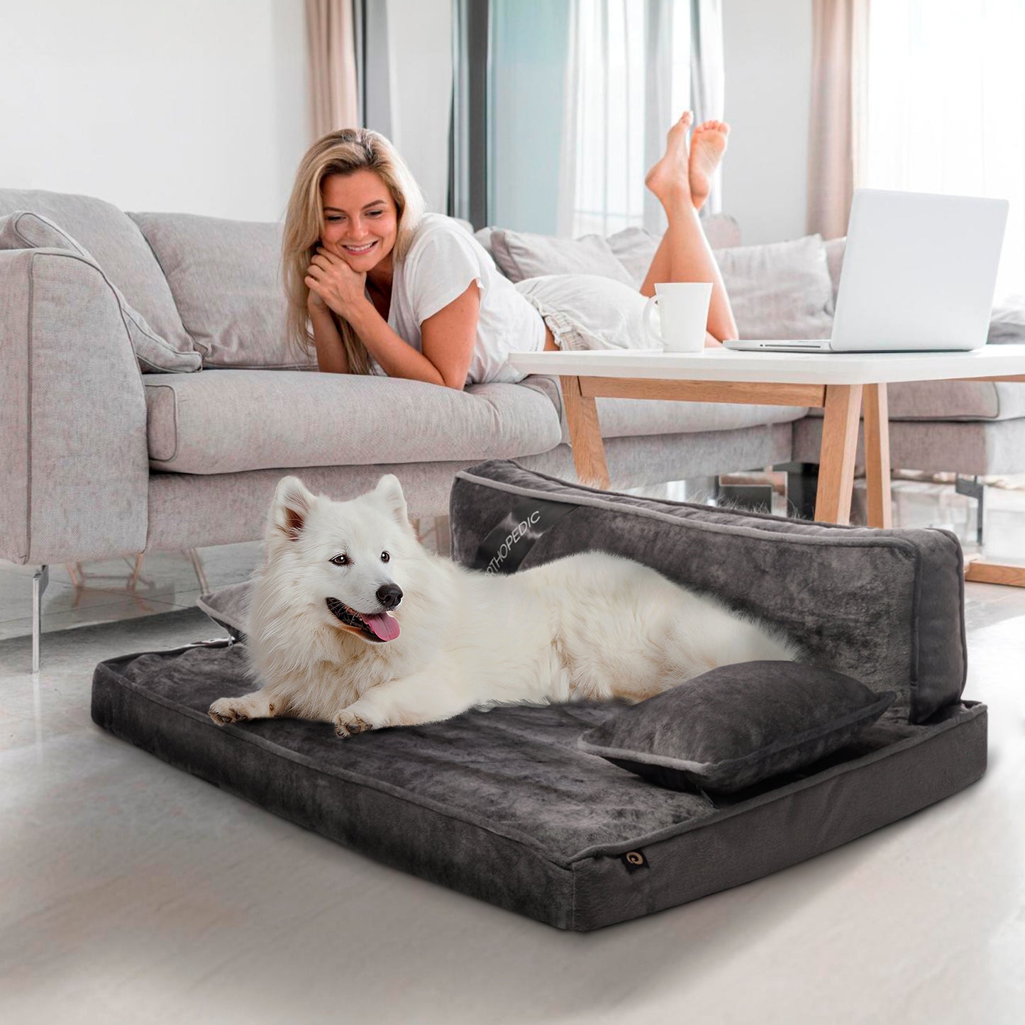 Precious Tails Orthopedic Pet Bed - Stylish Beds for Cats and Dogs,  Modern Sofa Couch for Small-Medium Dog