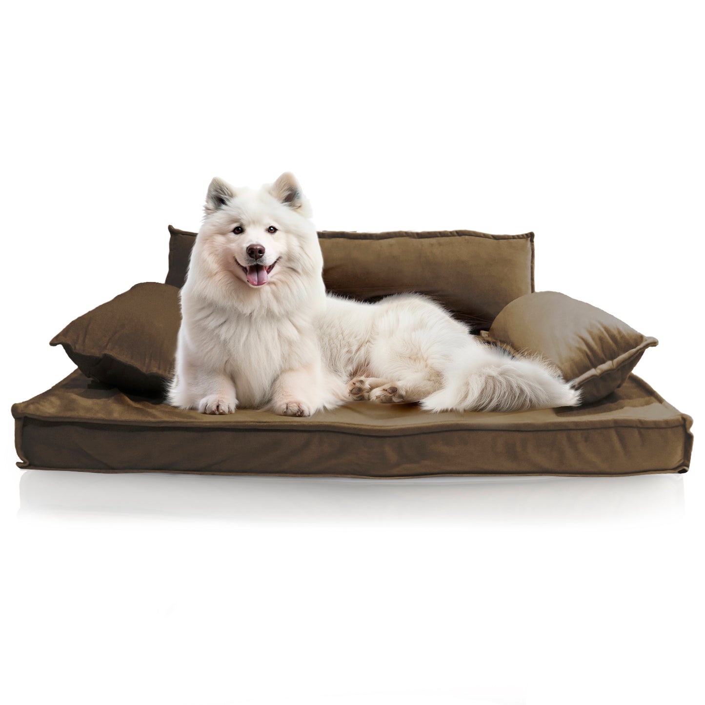 Precious Tails Orthopedic Pet Bed - Stylish Beds for Cats and Dogs,  Modern Sofa Couch for Small-Medium Dog