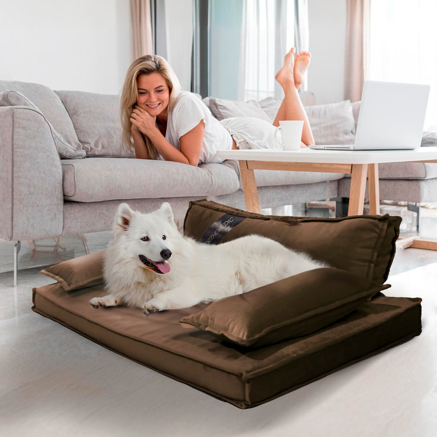 Precious Tails Orthopedic Pet Bed - Stylish Beds for Cats and Dogs,  Modern Sofa Couch for Small-Medium Dog