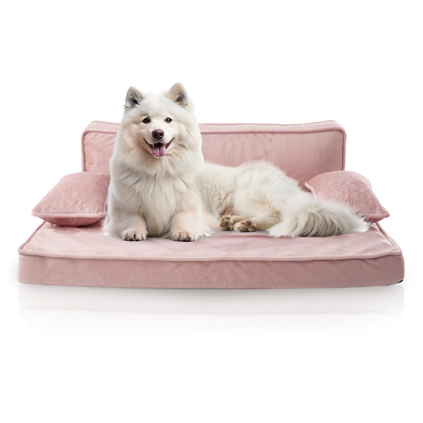 Precious Tails Orthopedic Pet Bed - Stylish Beds for Cats and Dogs,  Modern Sofa Couch for Small-Medium Dog