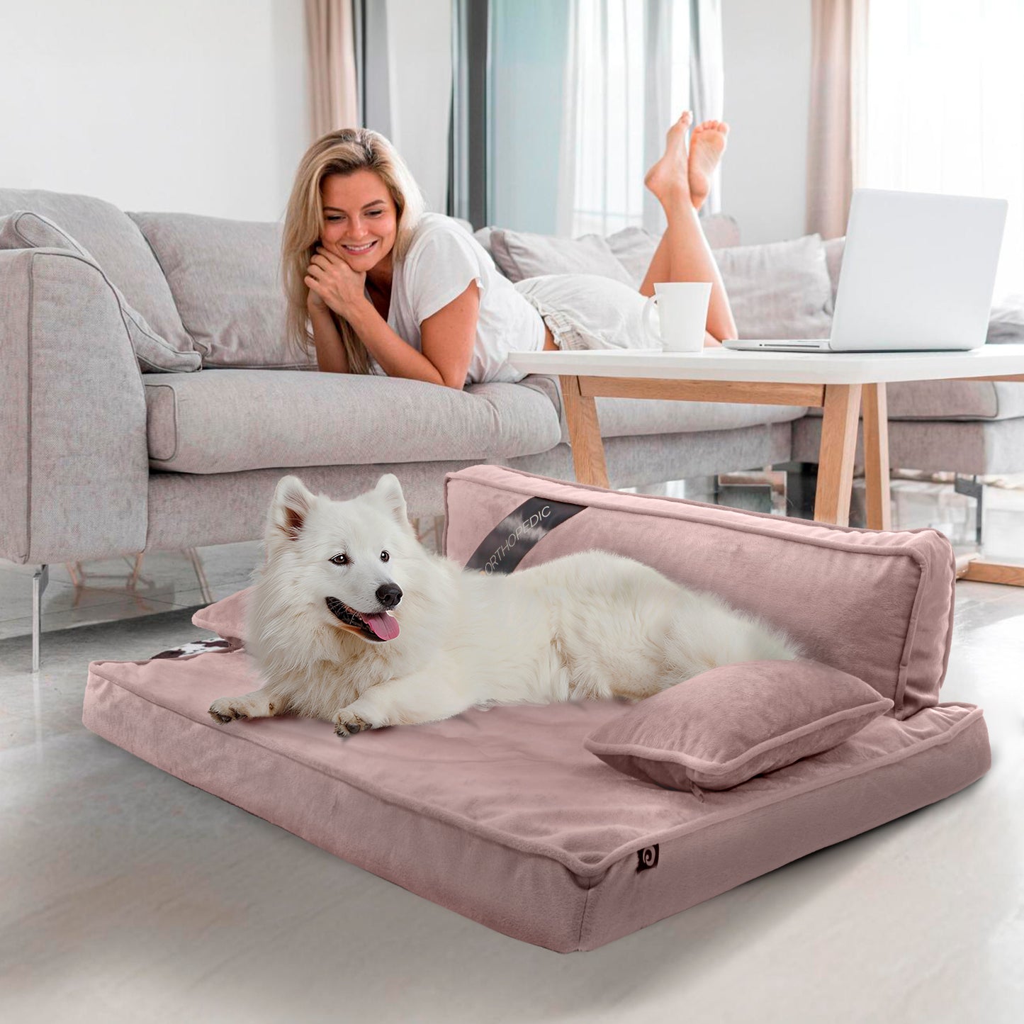 Precious Tails Orthopedic Pet Bed - Stylish Beds for Cats and Dogs,  Modern Sofa Couch for Small-Medium Dog