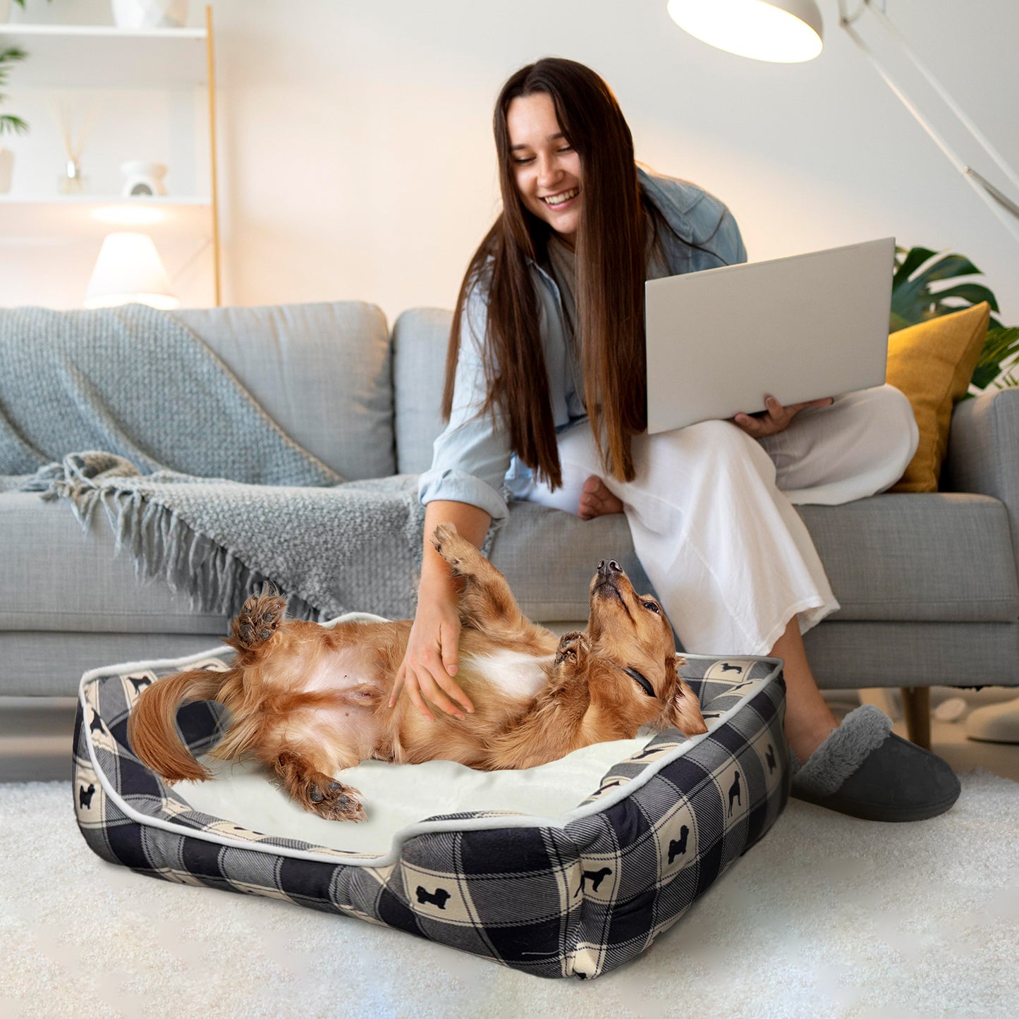 Details Microsuede Pet Bed, Dog Beds for Small Dogs and Cats, Black