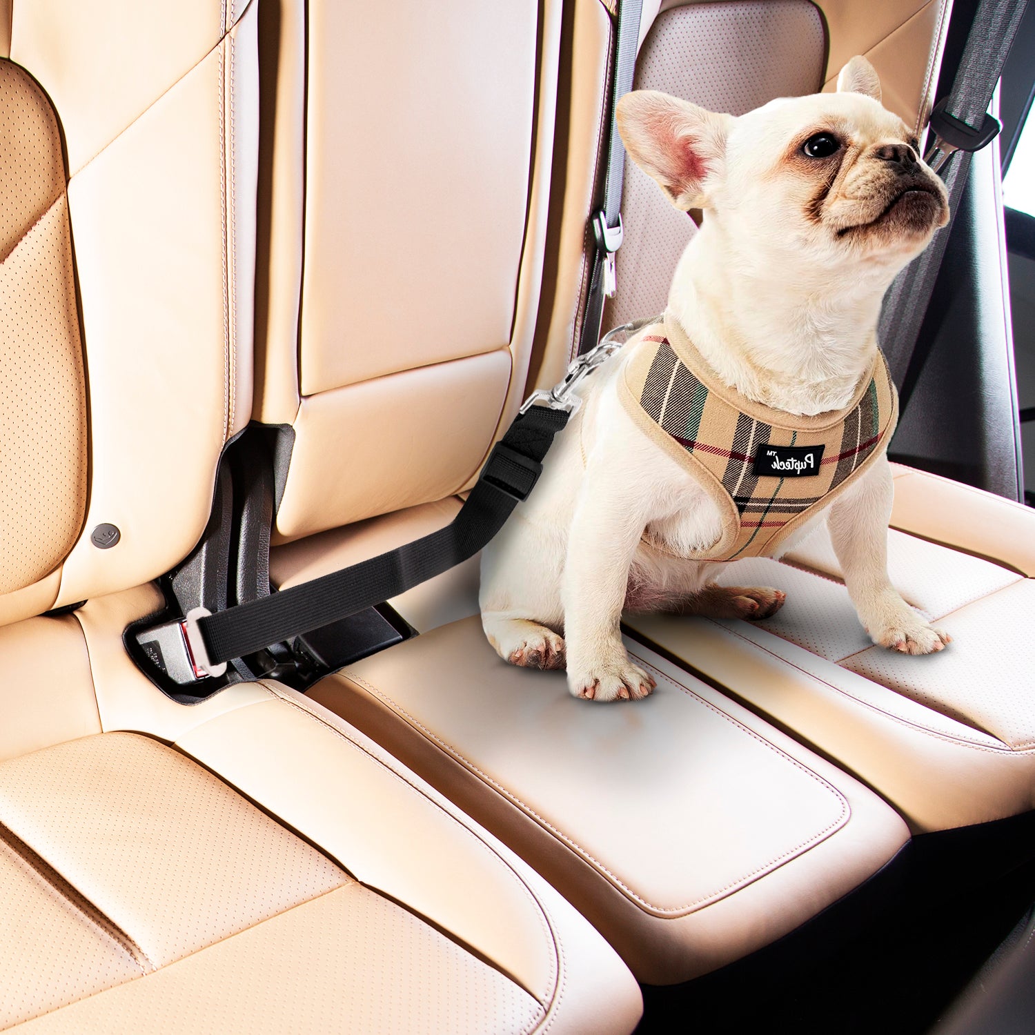 Pug life harness seat belt outlet