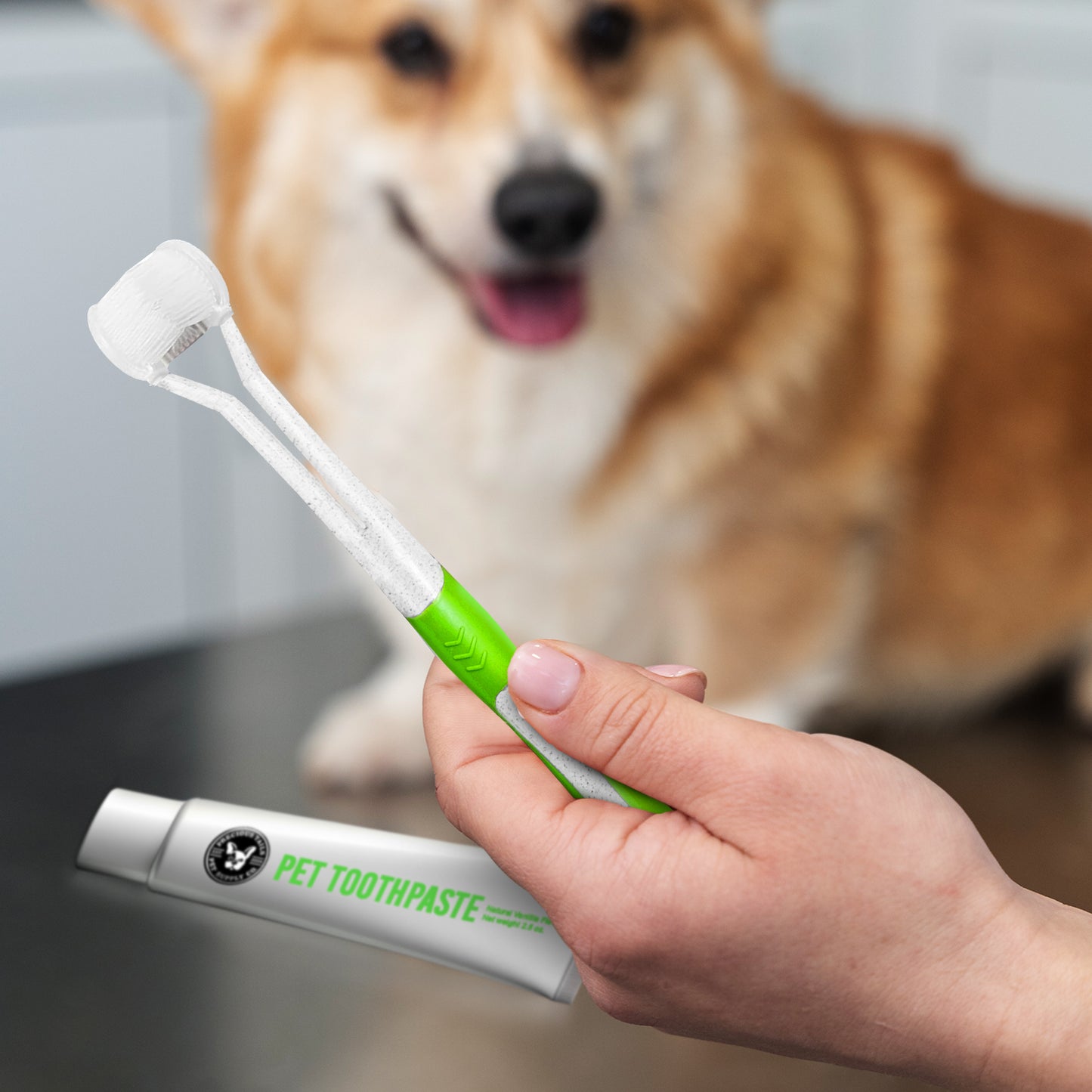 P.T. Supply Co. Triple-Sided Pet Toothbrush Kit, Eco-Friendly Wheat Straw Material for Dogs and Cats