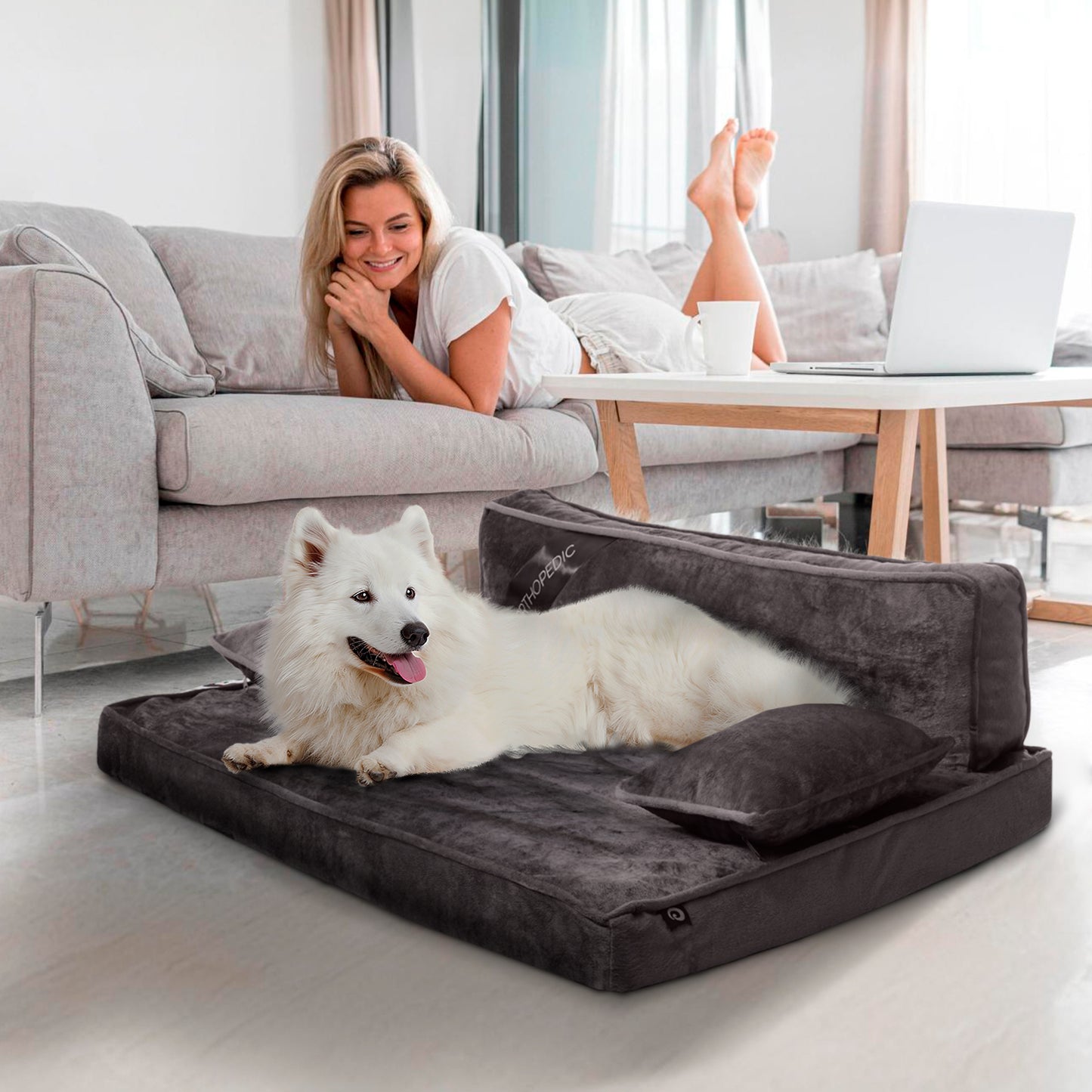 Precious Tails Orthopedic Pet Bed - Stylish Beds for Cats and Dogs,  Modern Sofa Couch for Small-Medium Dog
