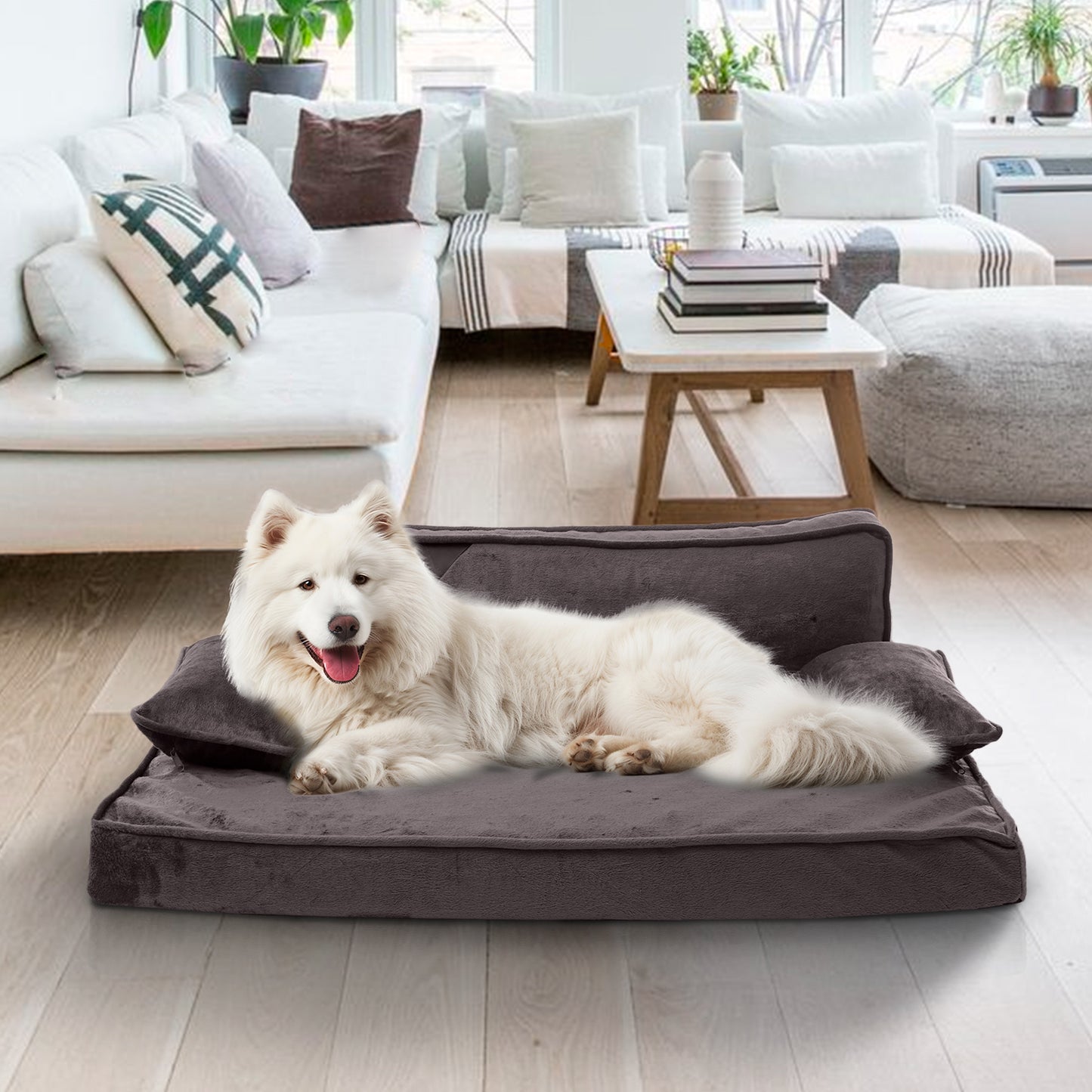 Precious Tails Orthopedic Pet Bed - Stylish Beds for Cats and Dogs,  Modern Sofa Couch for Small-Medium Dog