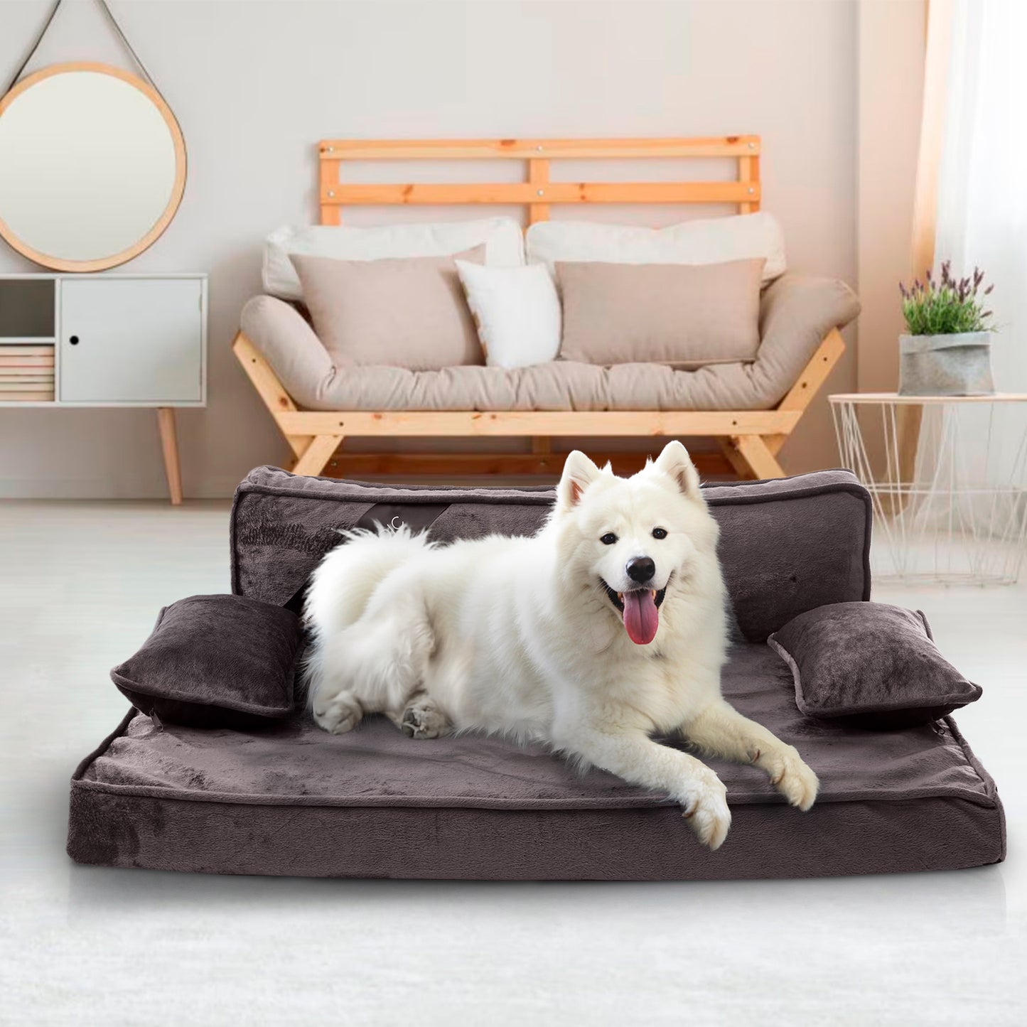 Precious Tails Orthopedic Pet Bed - Stylish Beds for Cats and Dogs,  Modern Sofa Couch for Small-Medium Dog