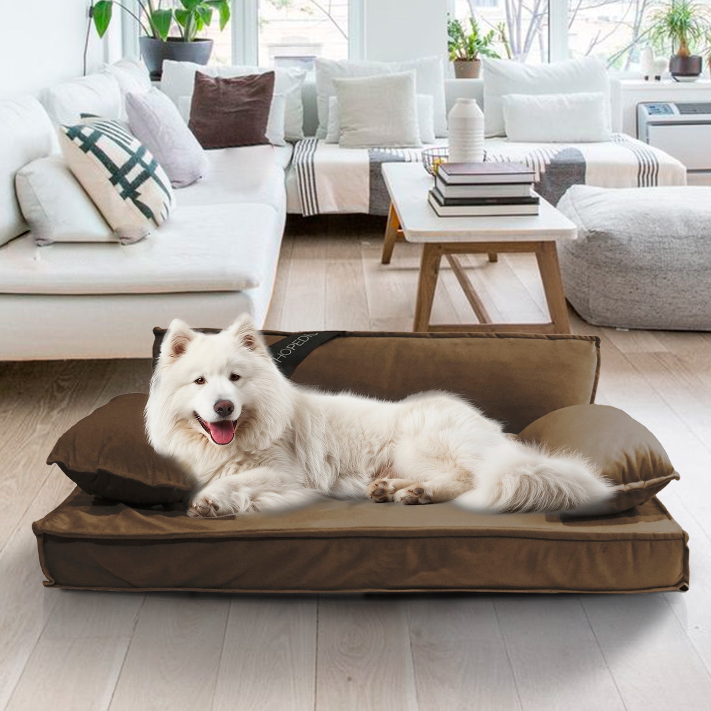 Precious Tails Orthopedic Pet Bed - Stylish Beds for Cats and Dogs,  Modern Sofa Couch for Small-Medium Dog