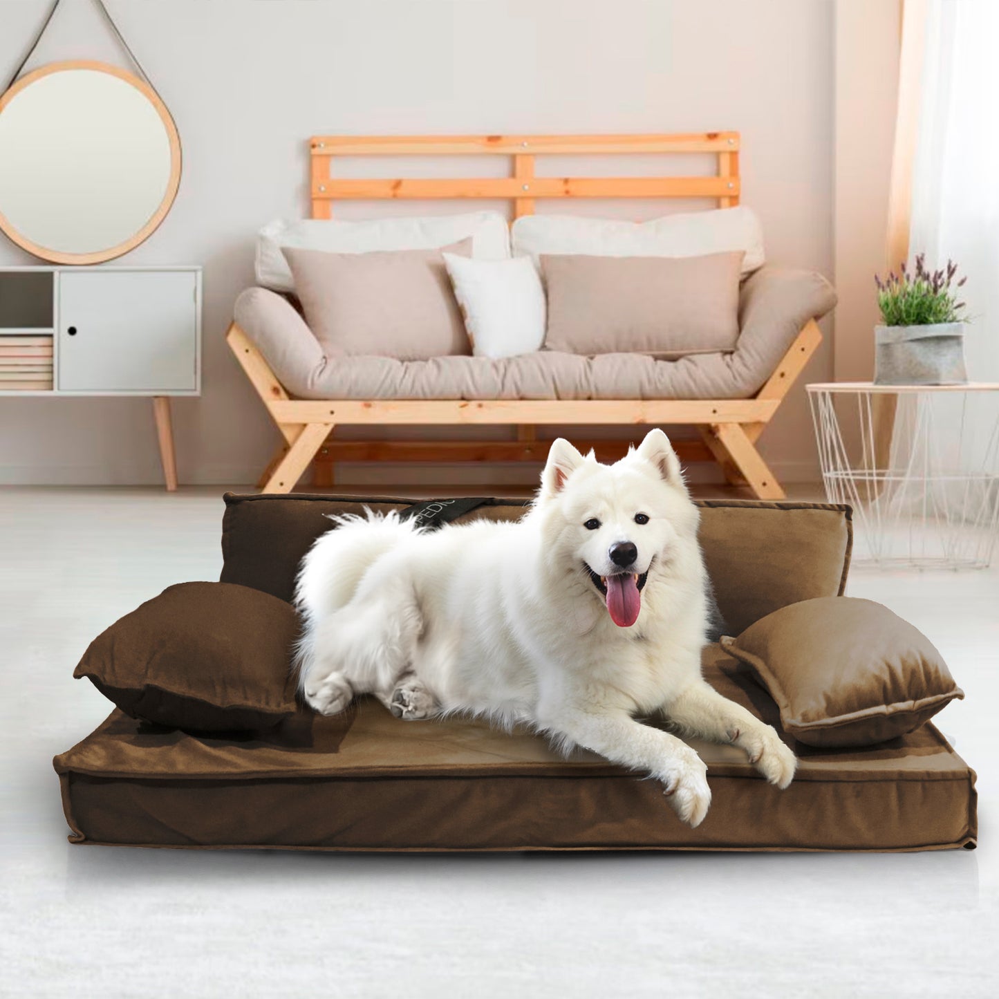 Precious Tails Orthopedic Pet Bed - Stylish Beds for Cats and Dogs,  Modern Sofa Couch for Small-Medium Dog