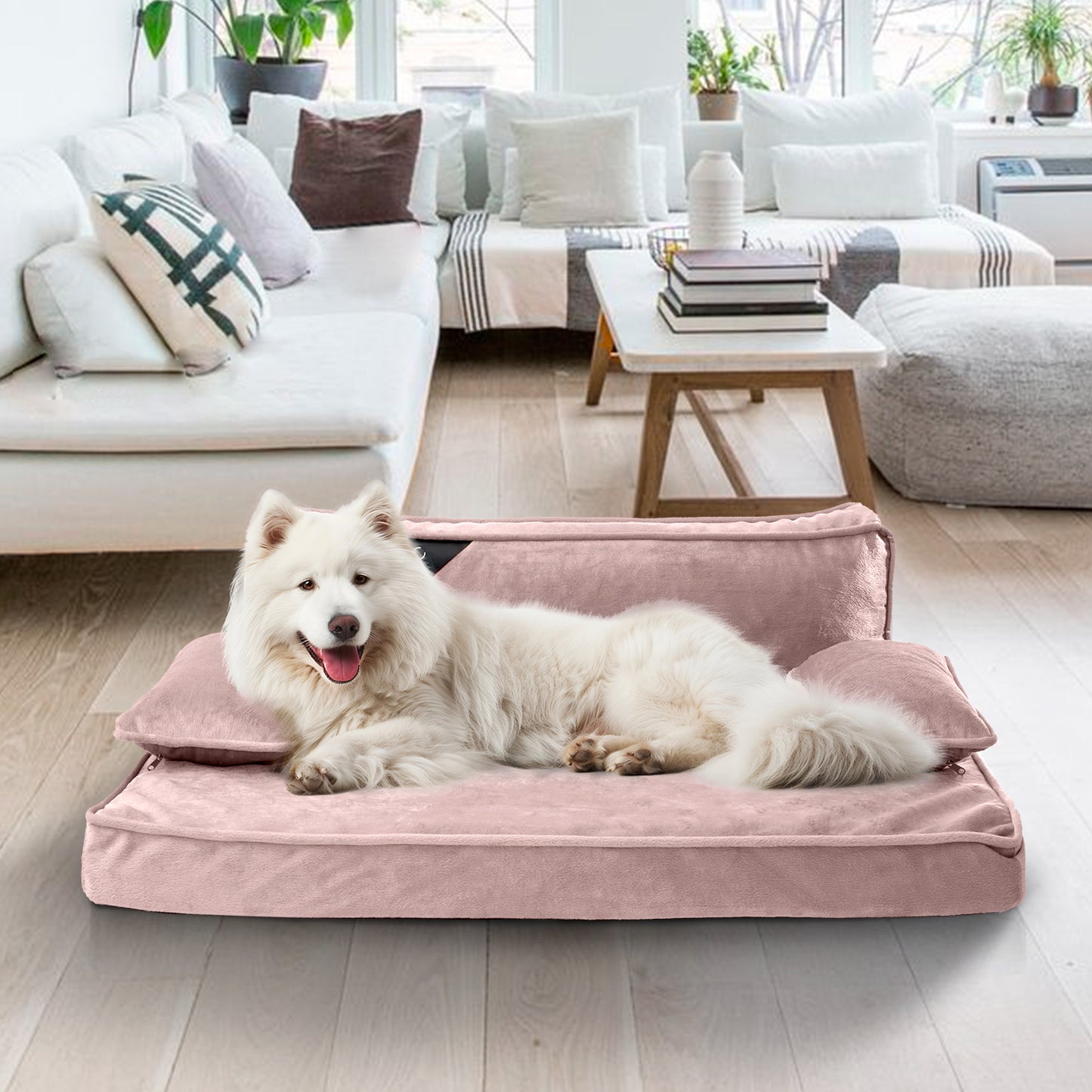 Precious Tails Orthopedic Pet Bed - Stylish Beds for Cats and Dogs,  Modern Sofa Couch for Small-Medium Dog