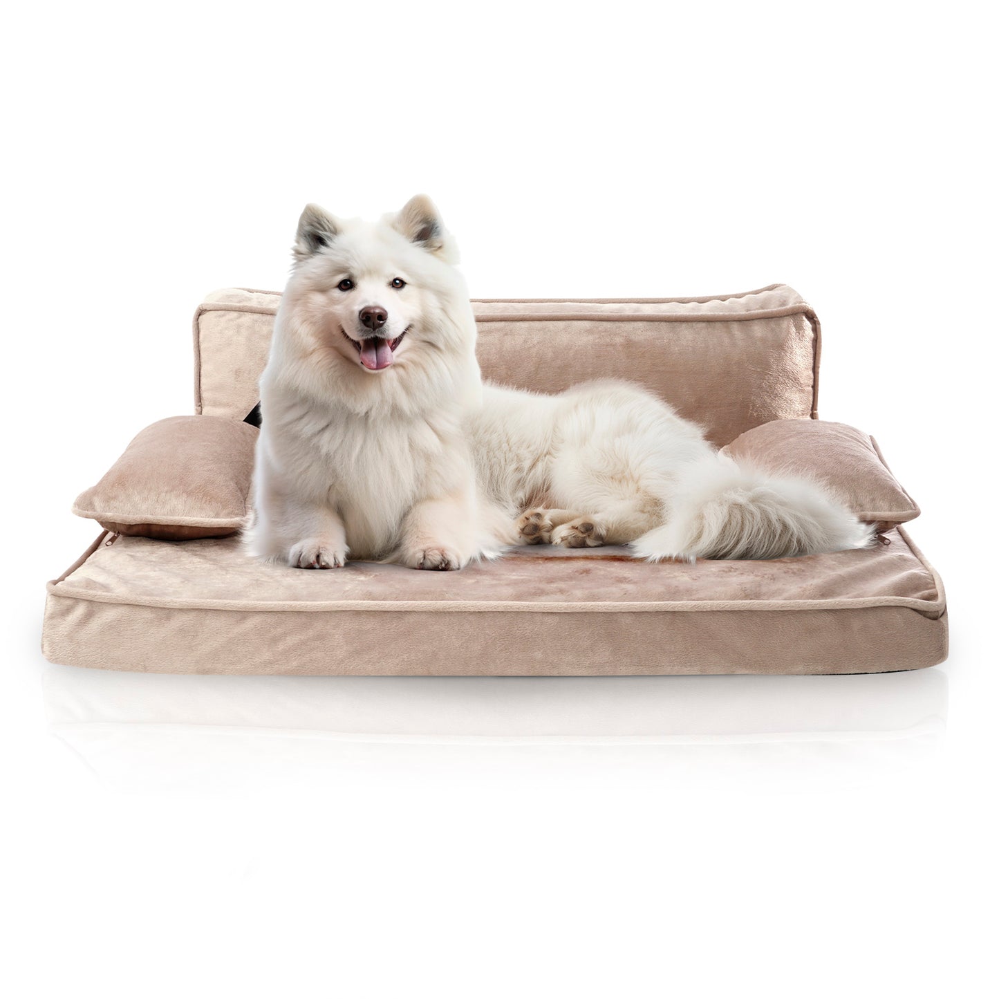 Precious Tails Orthopedic Pet Bed - Stylish Beds for Cats and Dogs,  Modern Sofa Couch for Small-Medium Dog