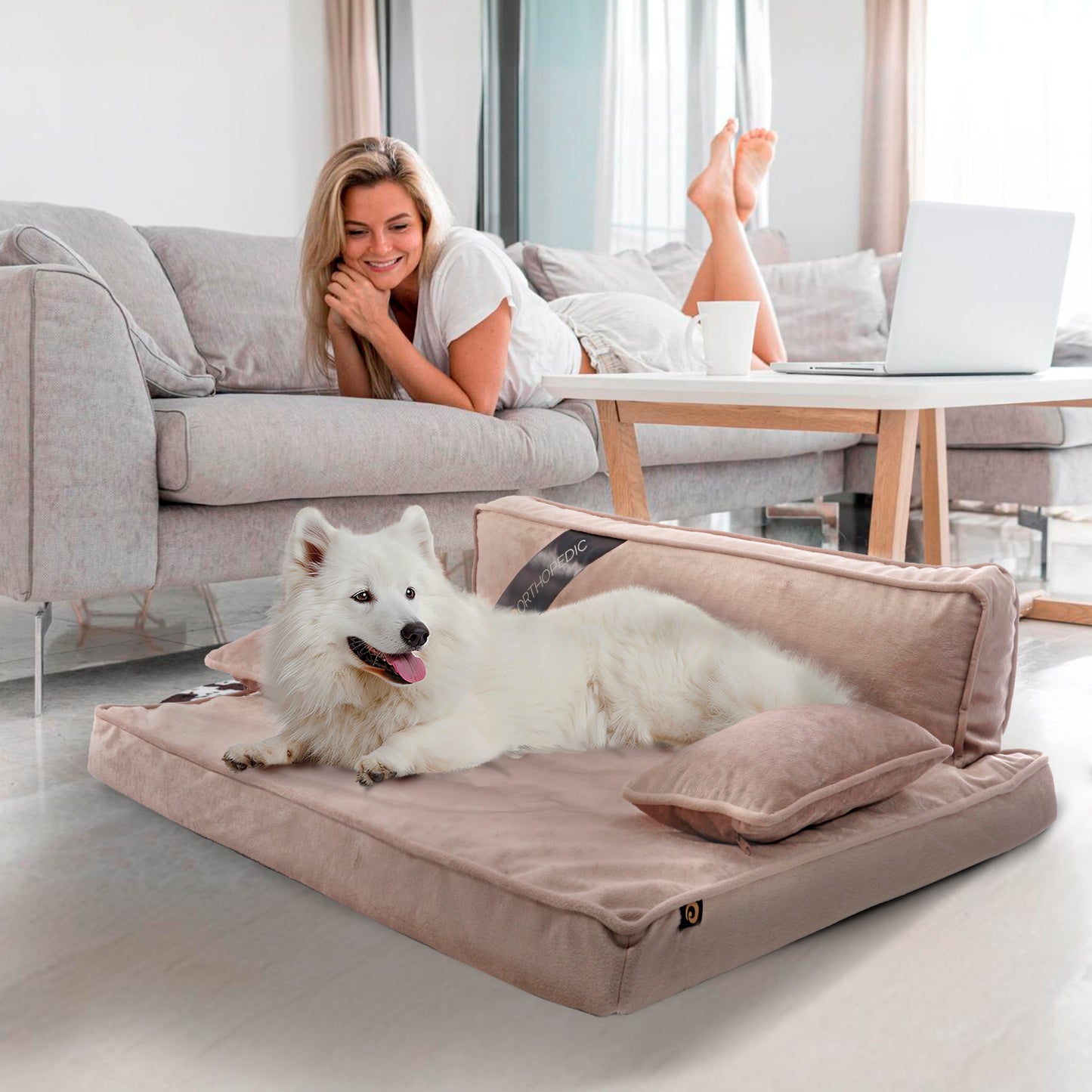 Precious Tails Orthopedic Pet Bed - Stylish Beds for Cats and Dogs,  Modern Sofa Couch for Small-Medium Dog