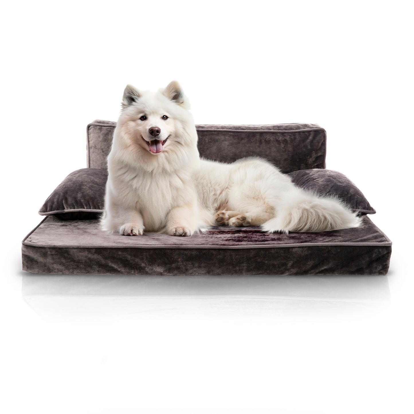 Precious Tails Orthopedic Pet Bed - Stylish Beds for Cats and Dogs,  Modern Sofa Couch for Small-Medium Dog