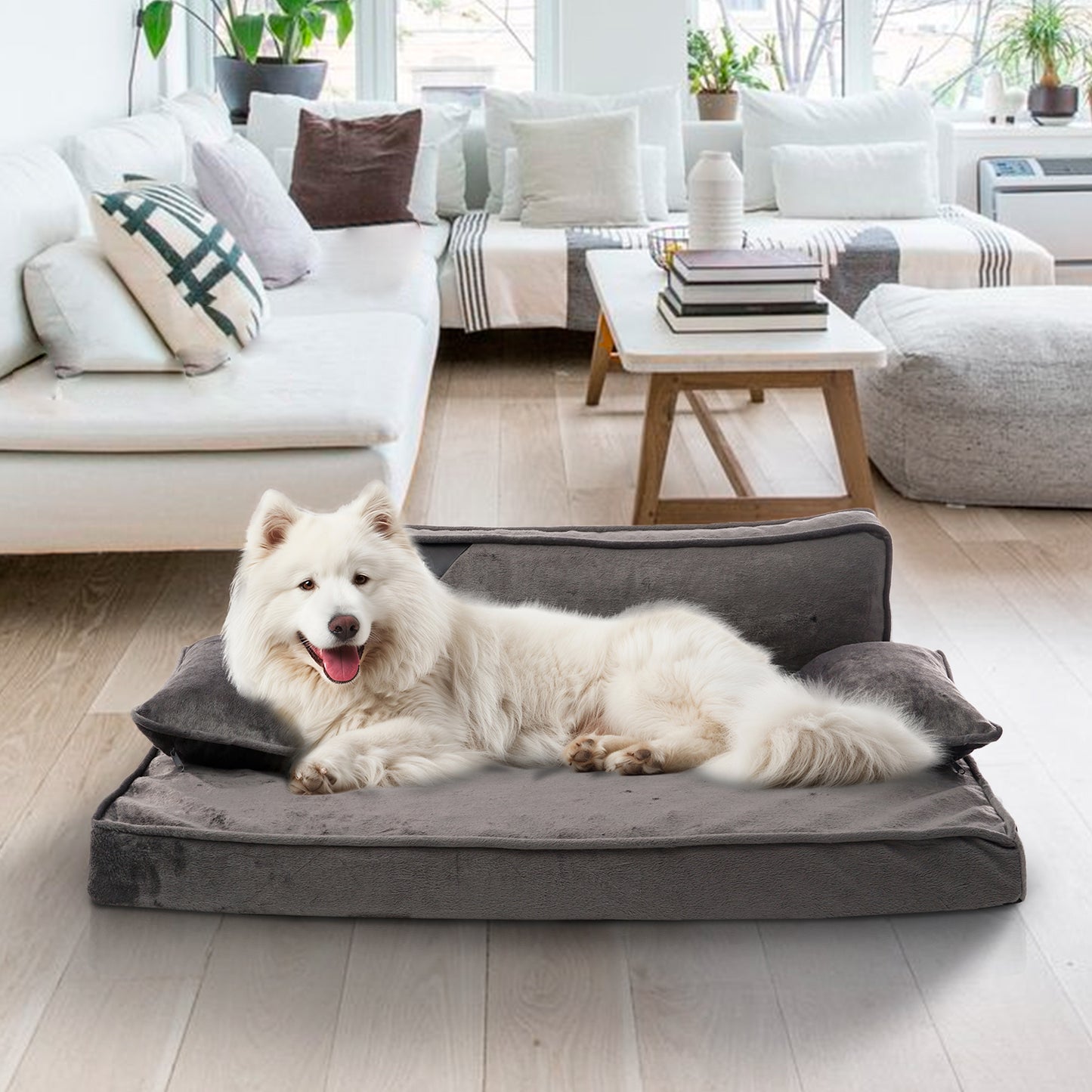 Precious Tails Orthopedic Pet Bed - Stylish Beds for Cats and Dogs,  Modern Sofa Couch for Small-Medium Dog