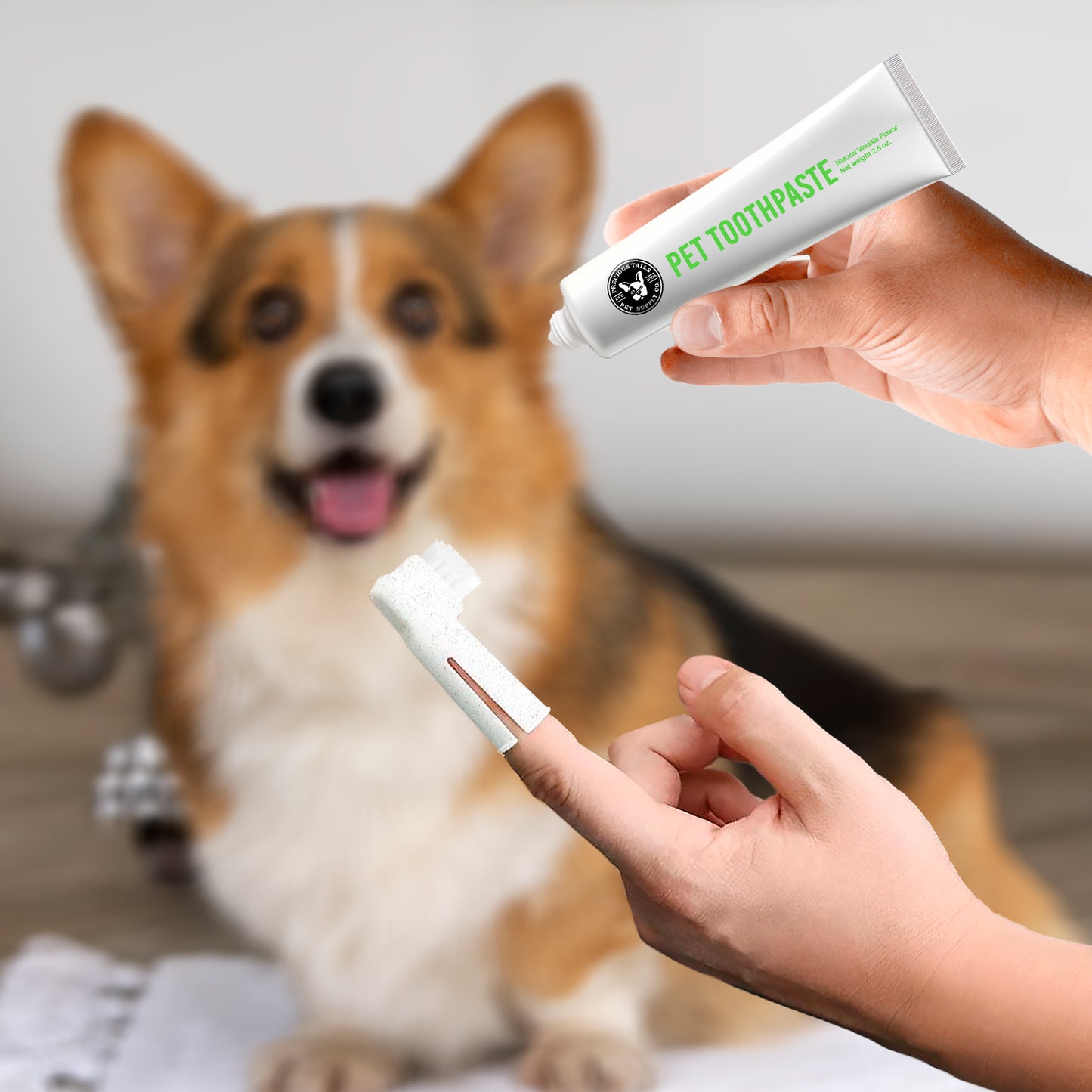 P.T. Supply Co. Eco-Friendly Pet Dental Care Kit, Toothbrush and Toothpaste Made with Sustainable Wheat Straw Material for Dogs and Cats
