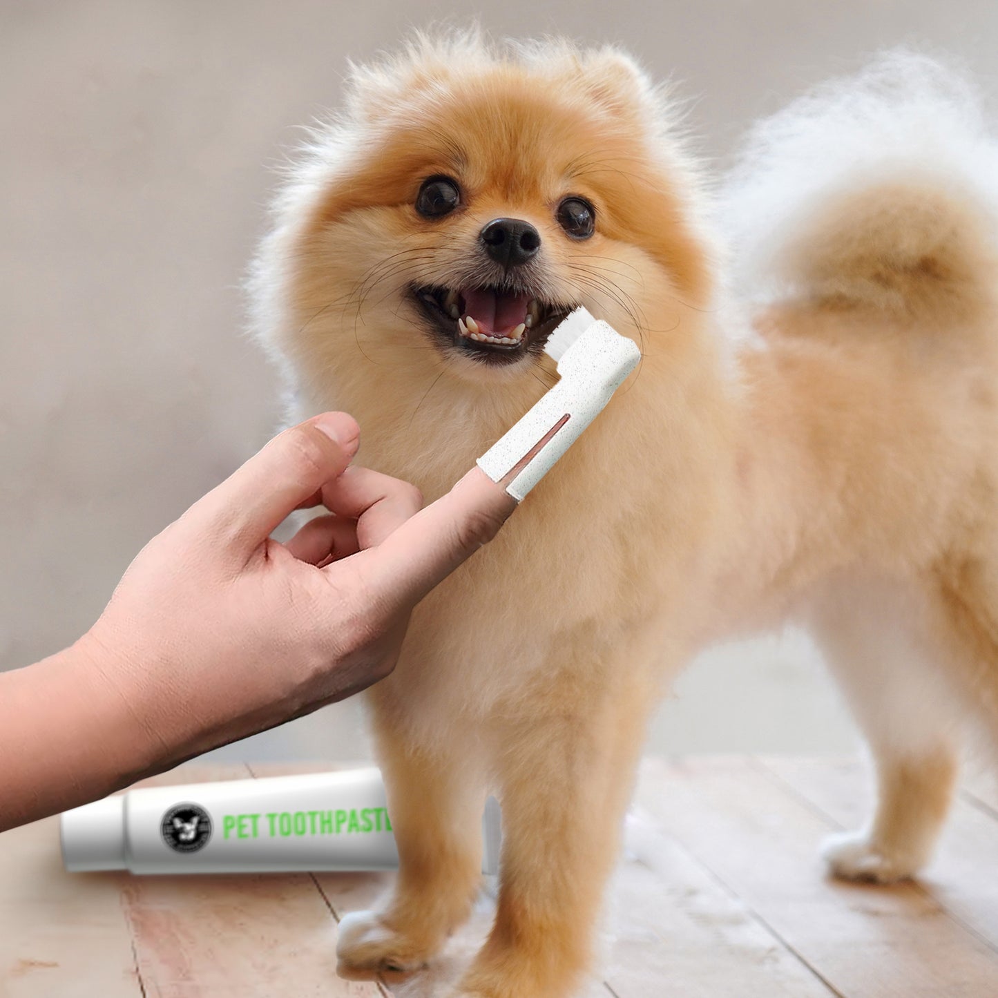 P.T. Supply Co. Eco-Friendly Pet Dental Care Kit, Toothbrush and Toothpaste Made with Sustainable Wheat Straw Material for Dogs and Cats