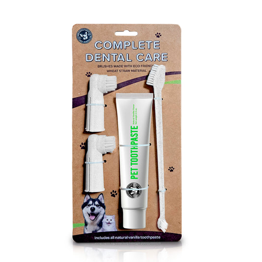 P.T. Supply Co. Eco-Friendly Pet Dental Care Kit, Toothbrush and Toothpaste Made with Sustainable Wheat Straw Material for Dogs and Cats