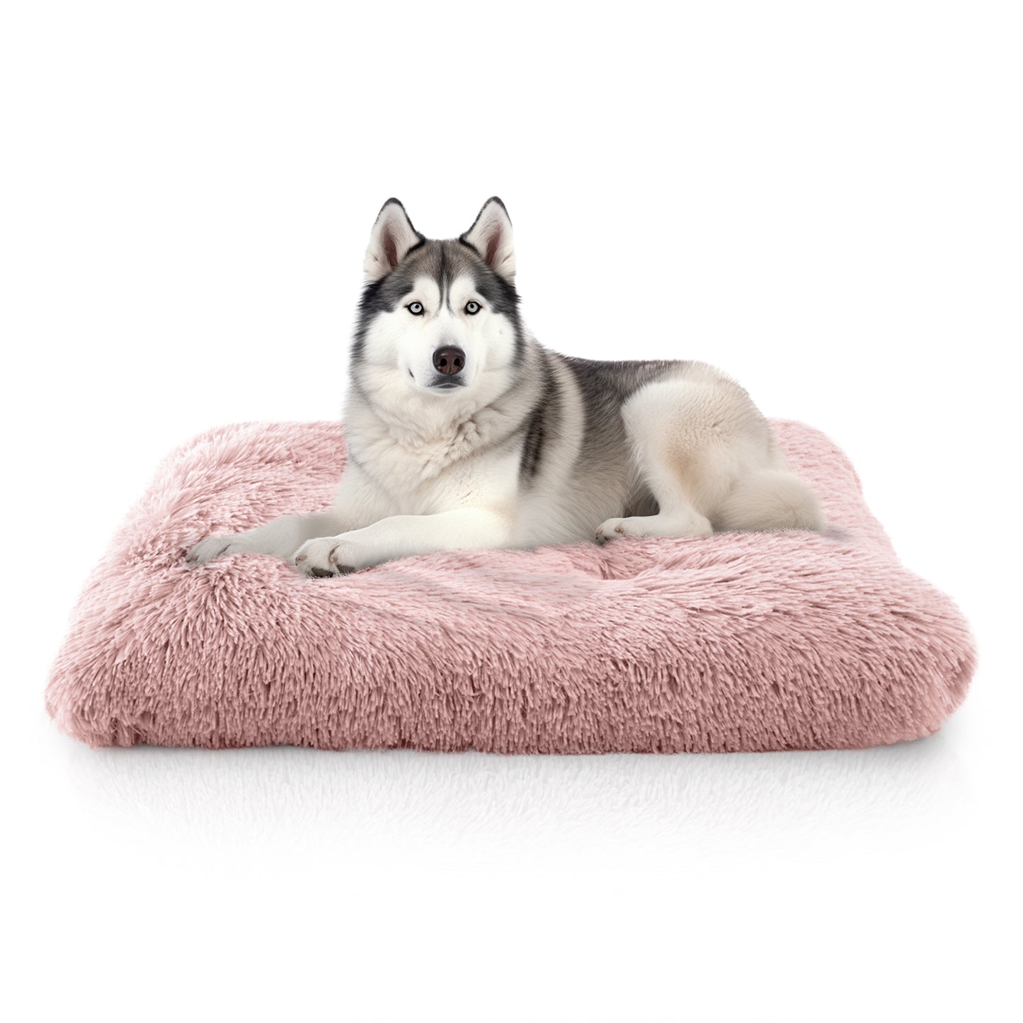 Details Pet Bed Mat, Tufted Plush Eyelash Faux Fur Calming Blanket Carpet Rug Mattress for Cats and Dogs
