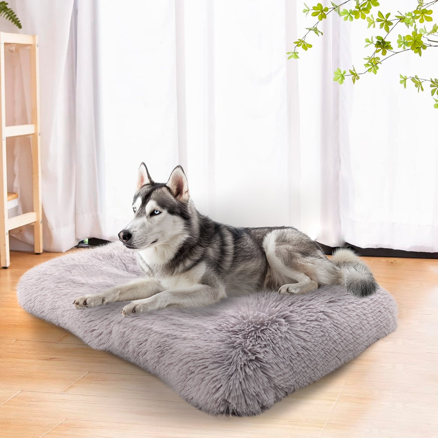 Details Pet Bed Mat, Tufted Plush Eyelash Faux Fur Calming Blanket Carpet Rug Mattress for Cats and Dogs