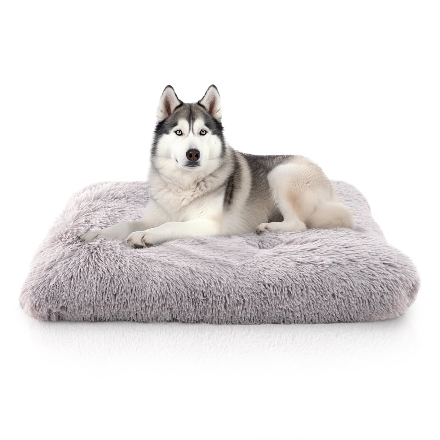 Details Pet Bed Mat, Tufted Plush Eyelash Faux Fur Calming Blanket Carpet Rug Mattress for Cats and Dogs