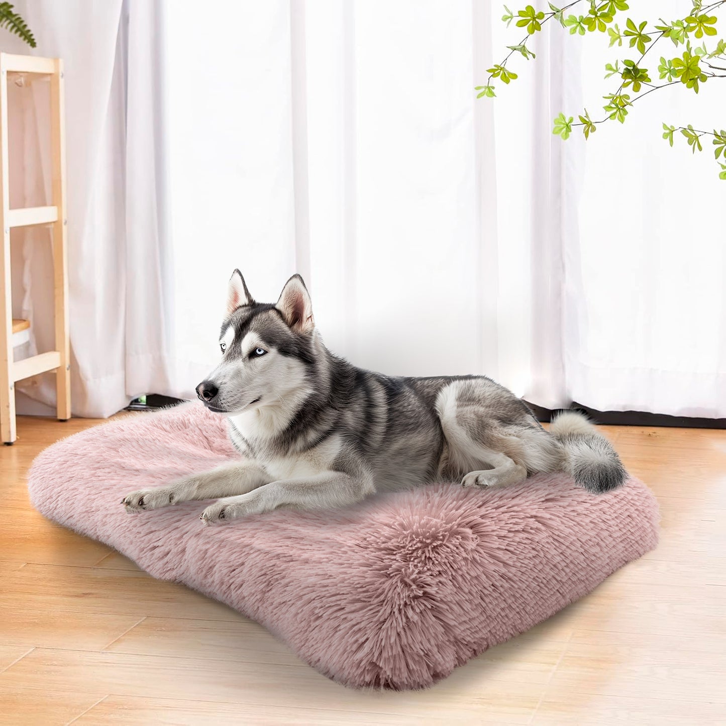 Details Pet Bed Mat, Tufted Plush Eyelash Faux Fur Calming Blanket Carpet Rug Mattress for Cats and Dogs