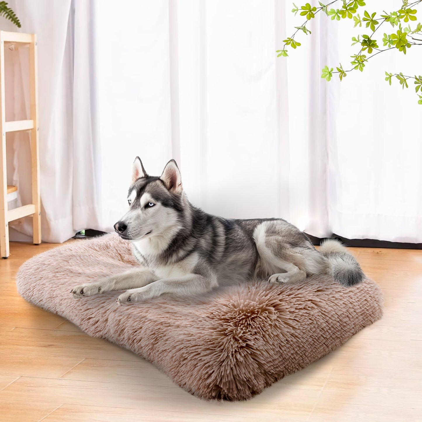 Details Pet Bed Mat, Tufted Plush Eyelash Faux Fur Calming Blanket Carpet Rug Mattress for Cats and Dogs
