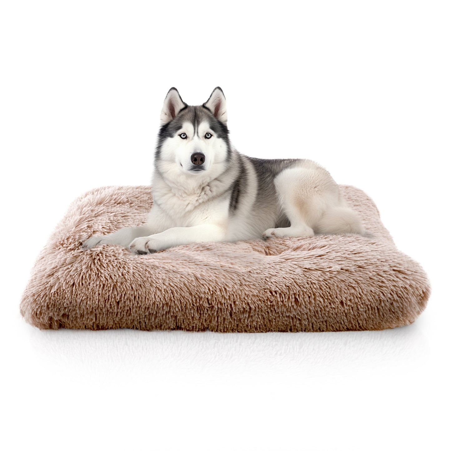 Details Pet Bed Mat, Tufted Plush Eyelash Faux Fur Calming Blanket Carpet Rug Mattress for Cats and Dogs