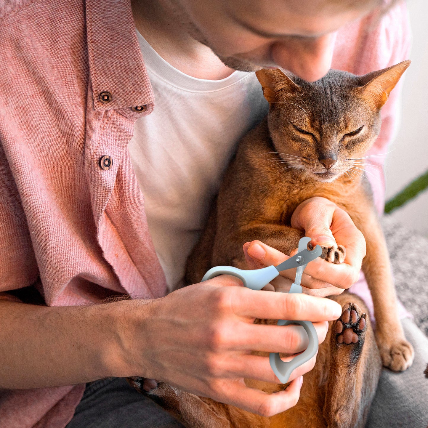 Ocean Plastic by PT Pet Nail Clipper, Eco-Friendly Grooming Tool for Dogs and Cats