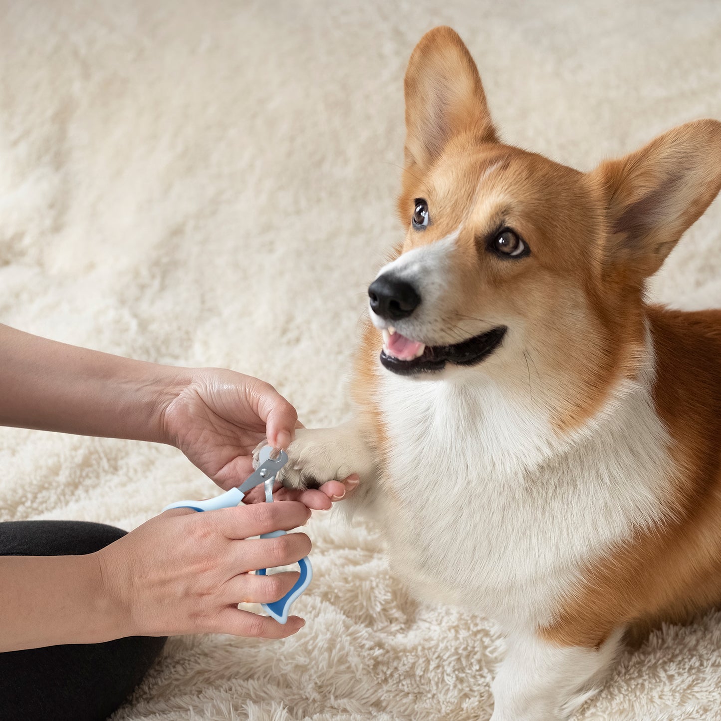 Ocean Plastic by PT Pet Nail Clipper, Eco-Friendly Grooming Tool for Dogs and Cats