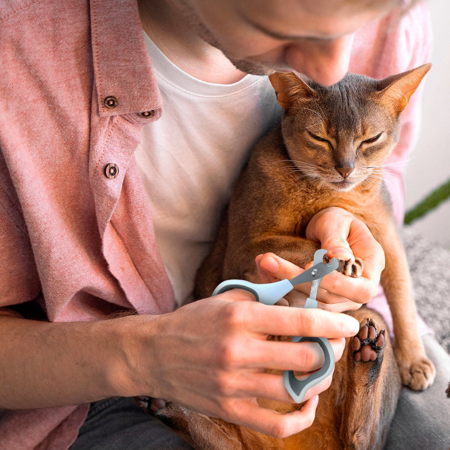 Ocean Plastic by PT Pet Nail Clipper, Eco-Friendly Grooming Tool for Dogs and Cats