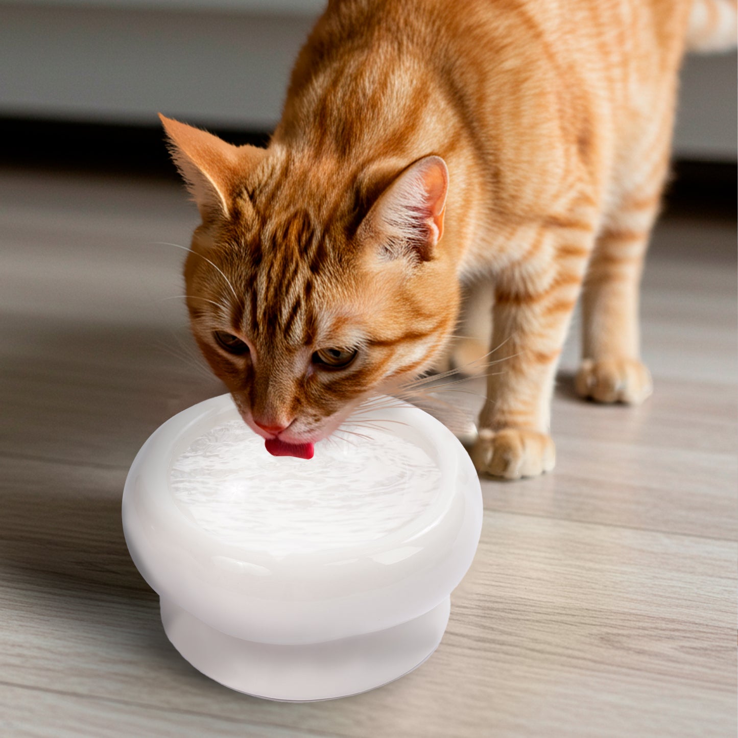 P.T. Supply Co. Abstract Bubble Shaped Stoneware Elevated Pet Bowl, Raised Ceramic Food & Water Dish for Dogs and Cats
