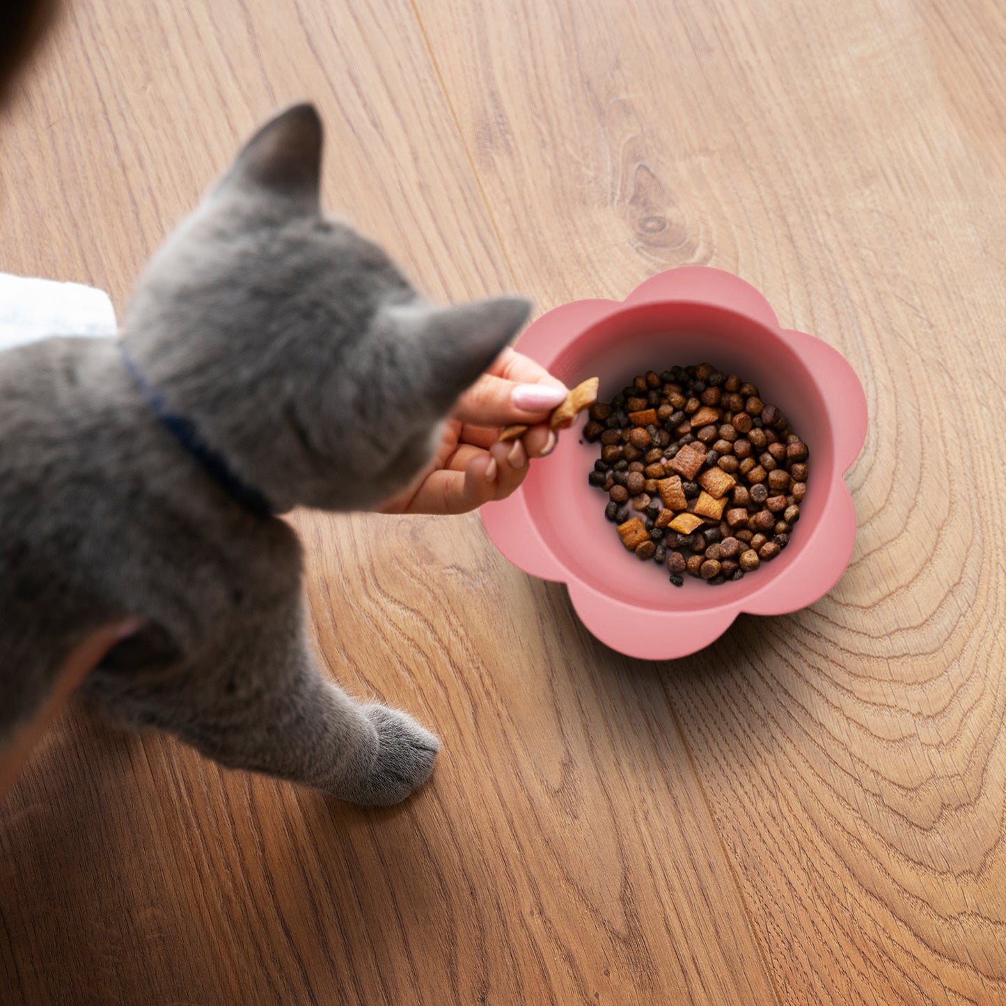 P.T. Supply Co. Small Flower-Shaped Silicone Pet Bowl with Non-Slip Suction Base