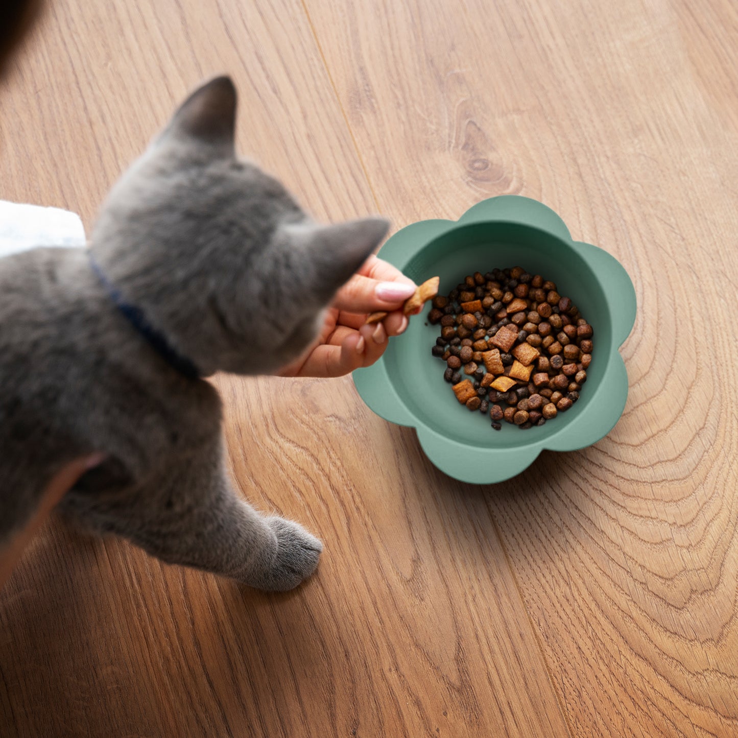 P.T. Supply Co. Small Flower-Shaped Silicone Pet Bowl with Non-Slip Suction Base