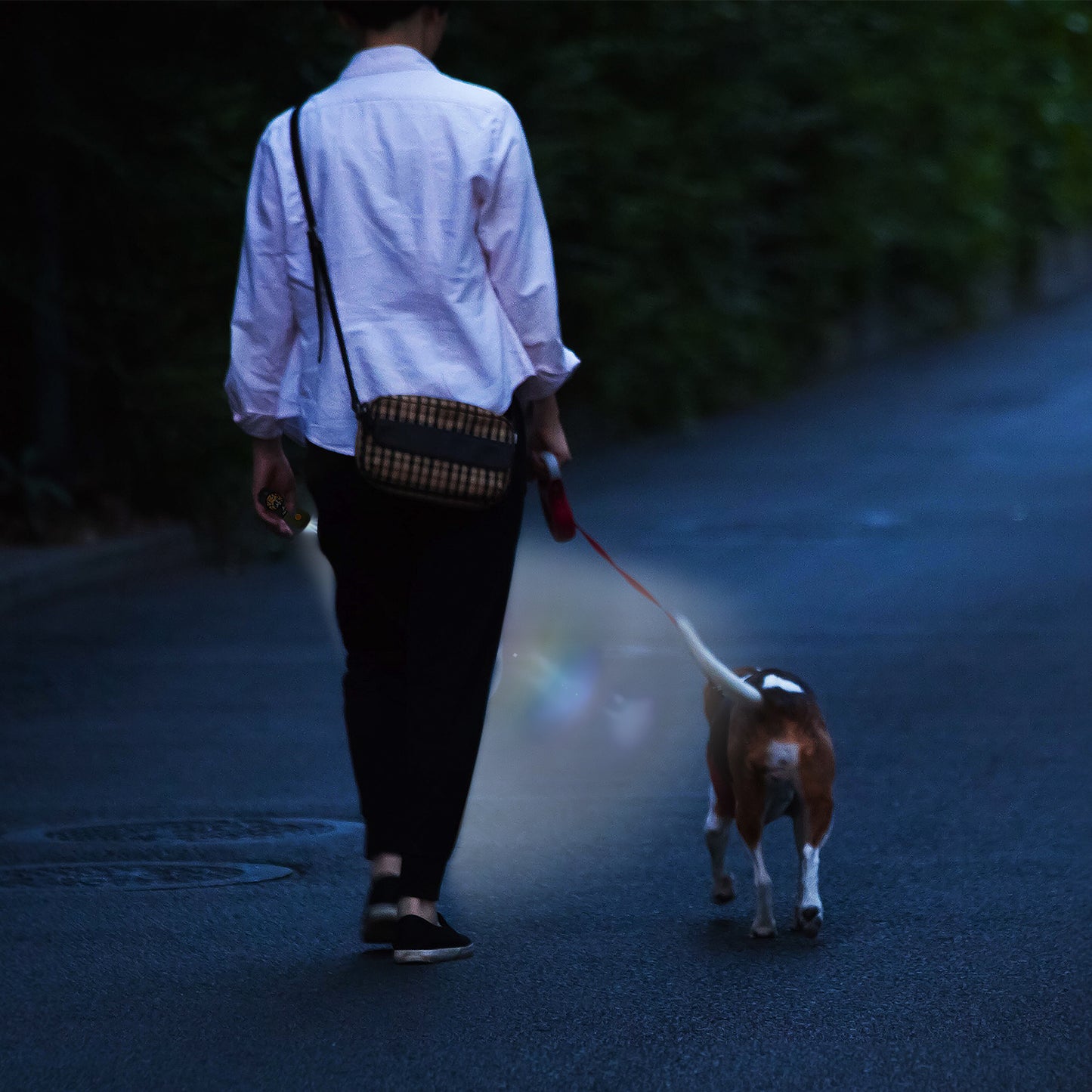 Pilot & Scout Flash N Bag Dog Poop Bags with LED Light Dispenser, Convenient Waste Bags for Night Walks