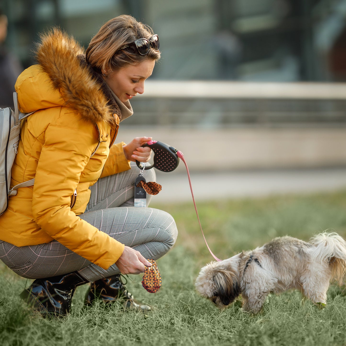 Pilot & Scout Sani N Bag Dog Waste Bag Dispenser, with Built-In Hand Sanitizer Compartment