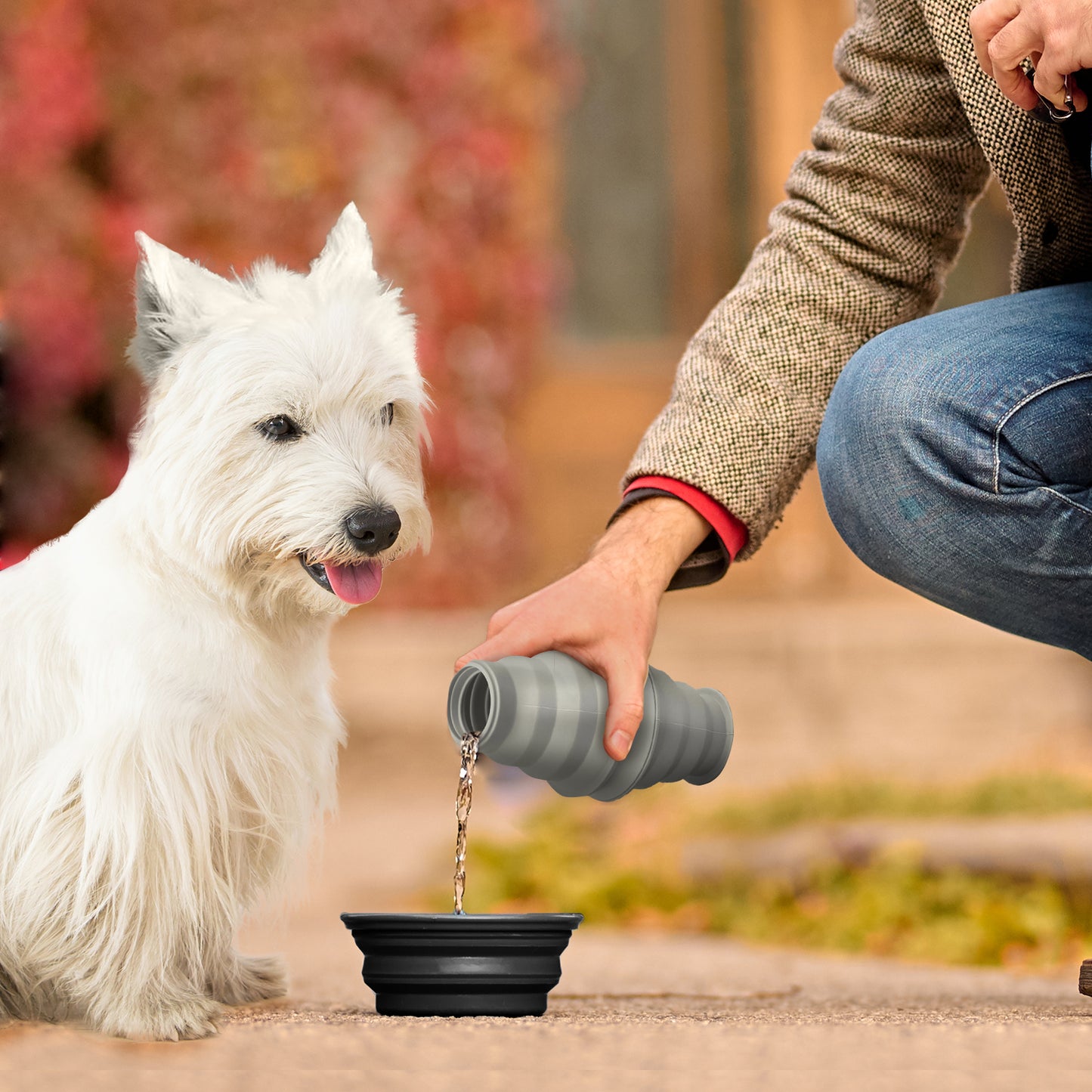 P.T. Supply Co. Feed N Sip 2-in-1 Collapsible Dog Bowl and Water Bottle, Portable Pet Feeding Solution for Travel