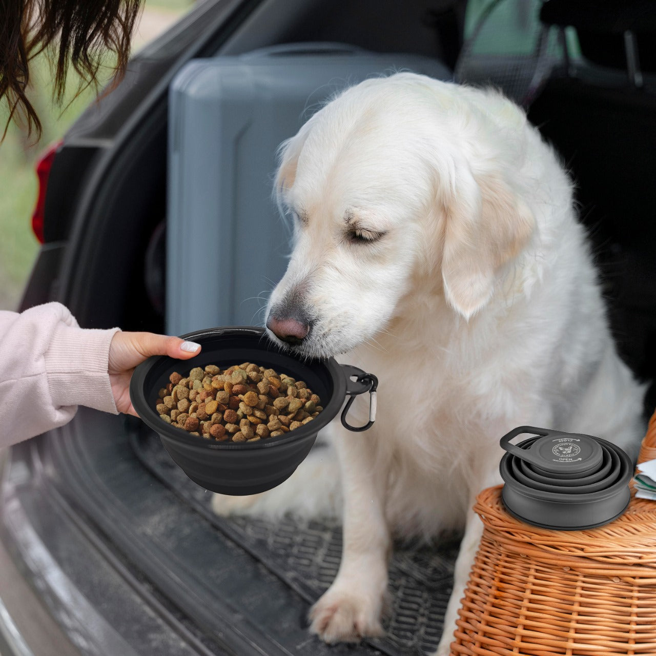 P.T. Supply Co. Feed N Sip 2-in-1 Collapsible Dog Bowl and Water Bottle, Portable Pet Feeding Solution for Travel